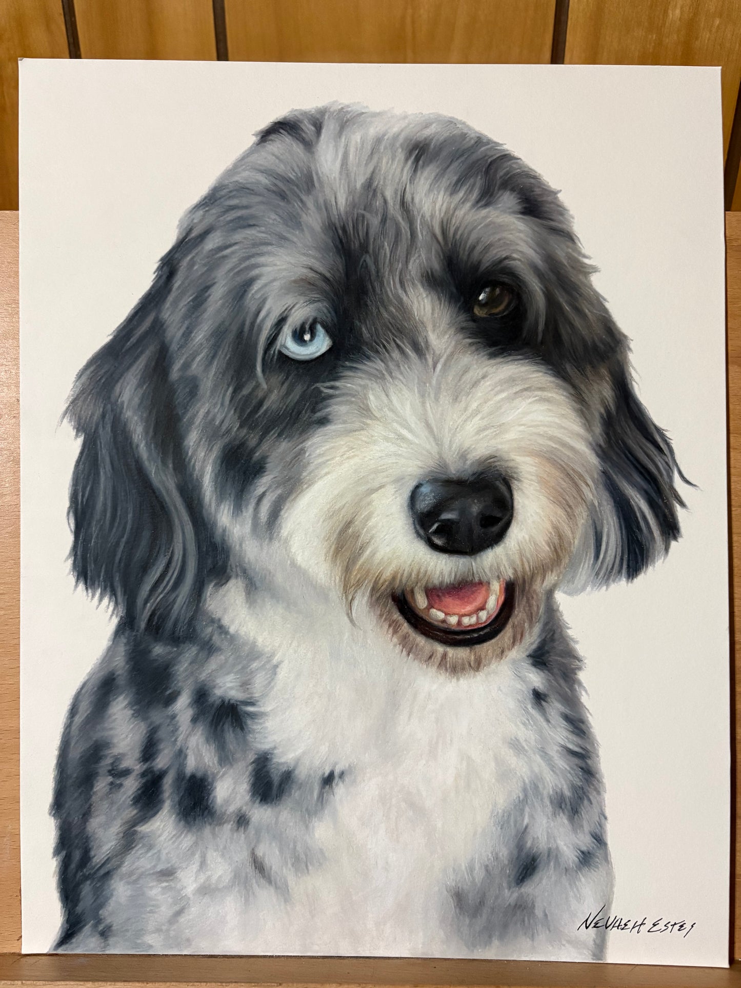 Final 50% Deposit — Custom Drawing