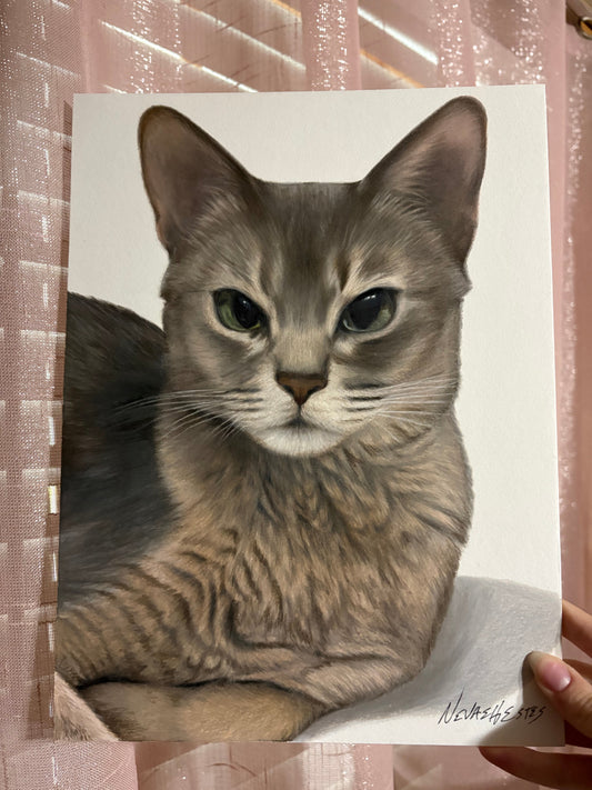 Choosing the right photo for your pet's portrait