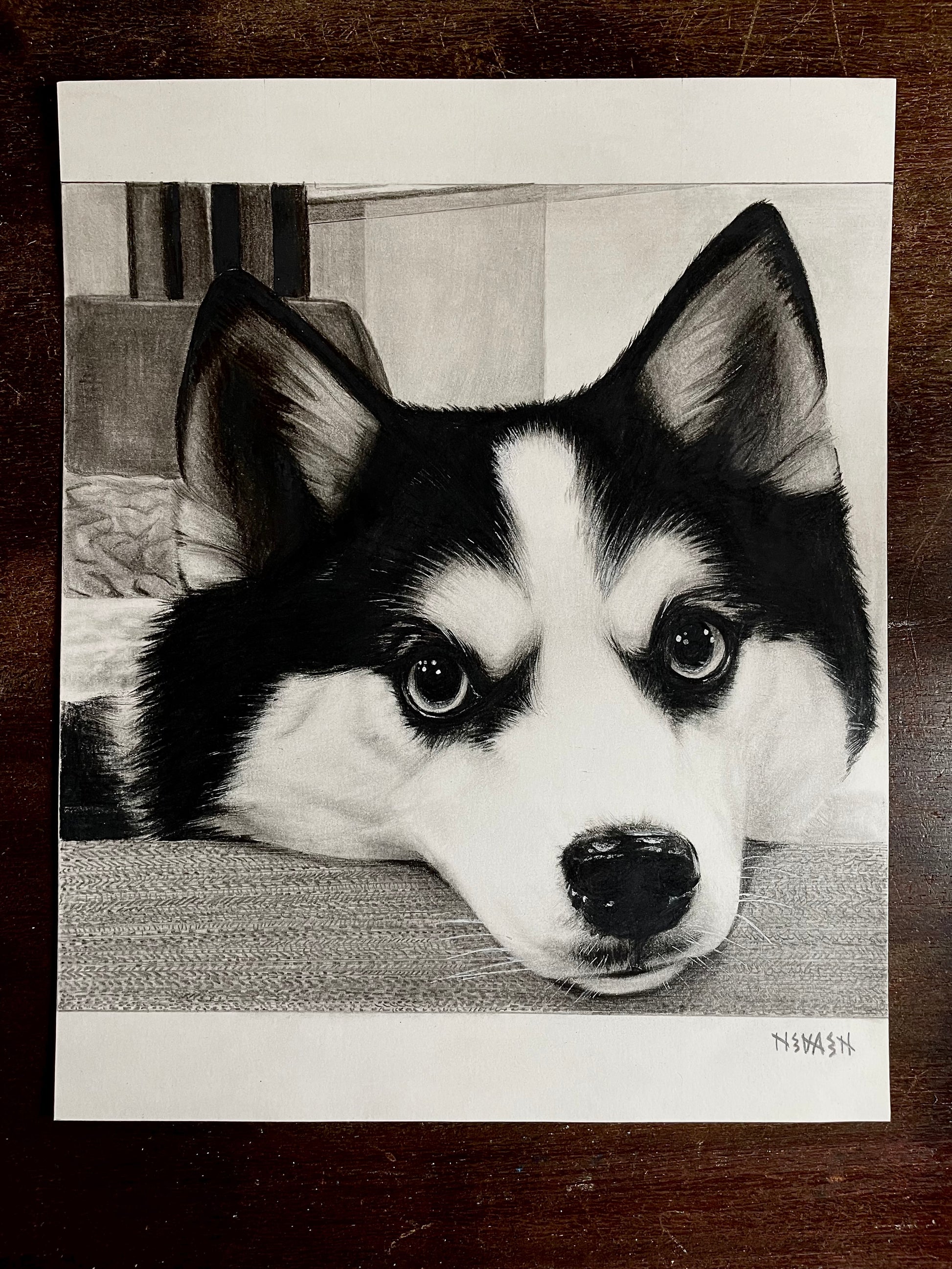 Final 50% Deposit — 11x14 inch Drawing