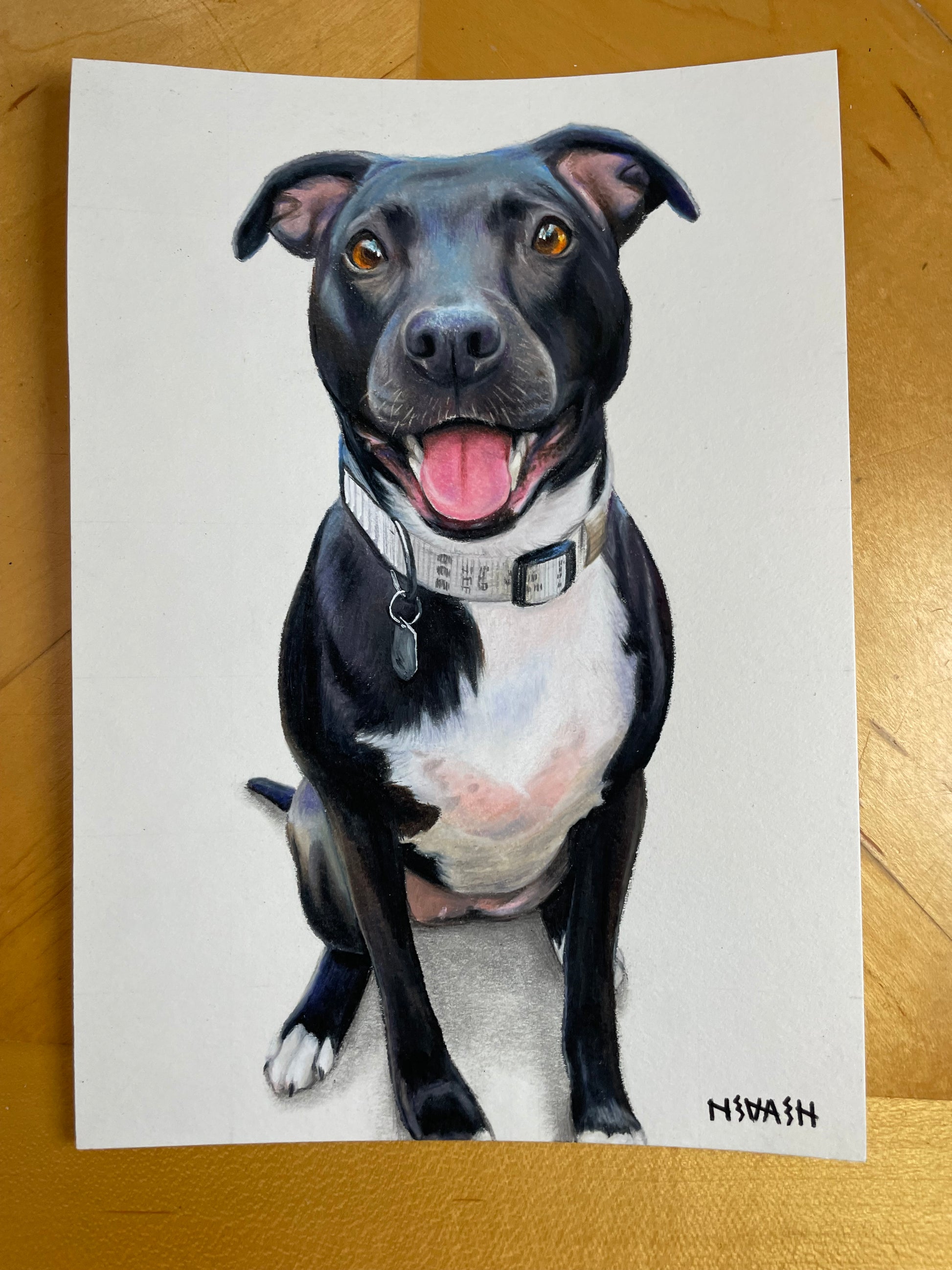 Final 50% Deposit — 11x14 inch Drawing