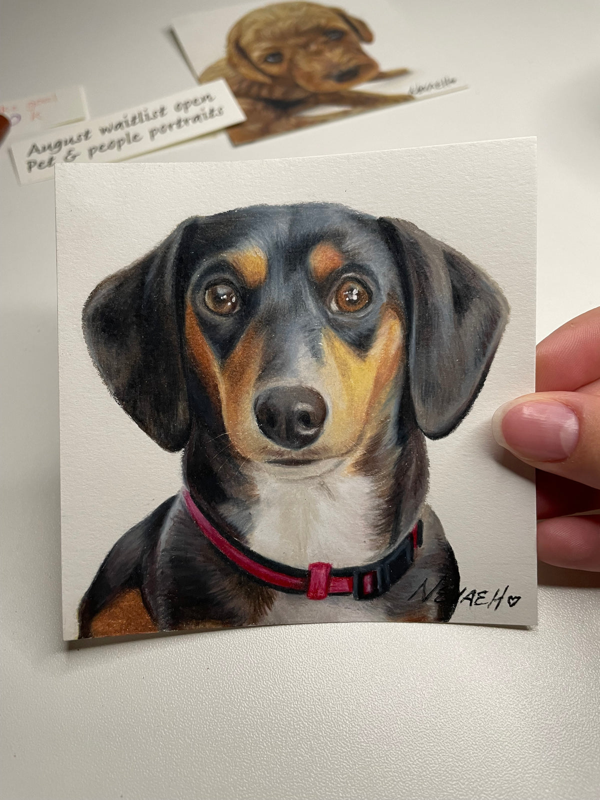Custom Mini Pet Portrait - 4x4inch Colored Pencil Drawing