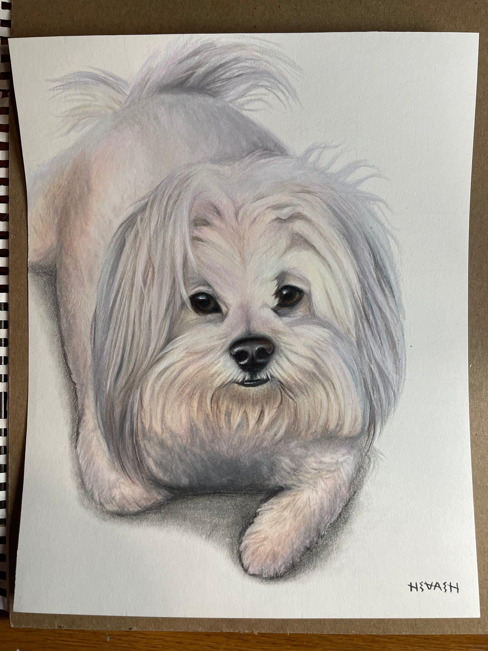 Final 50% Deposit — 11x14 inch Drawing
