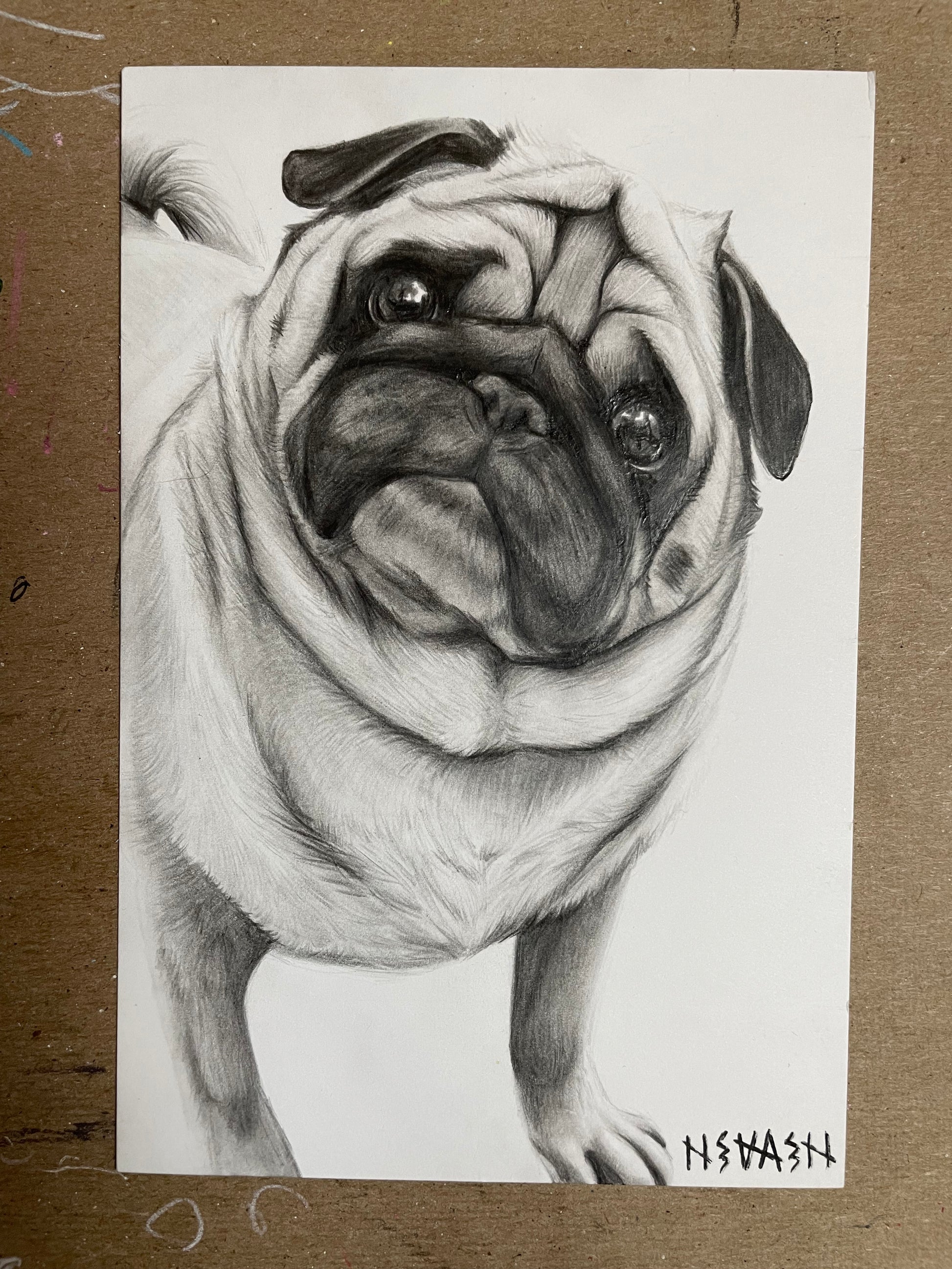 Final 50% Deposit — 11x14 inch Drawing