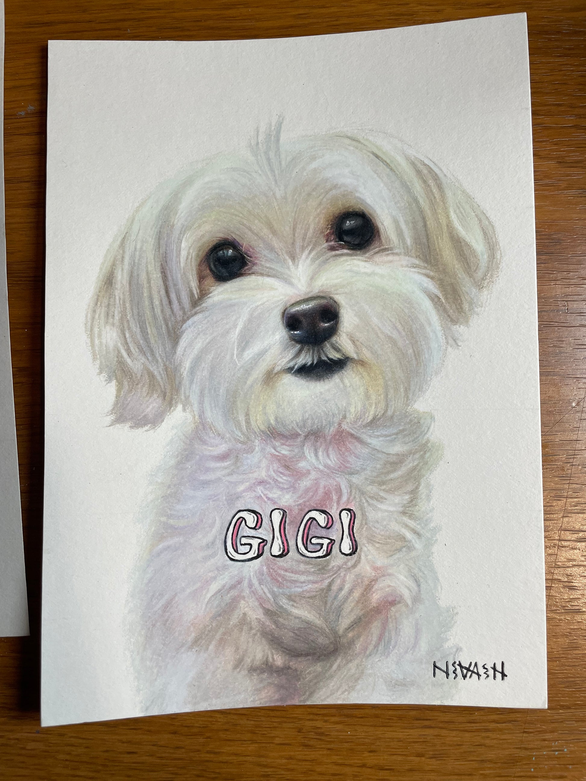 Final 50% Deposit — 11x14 inch Drawing
