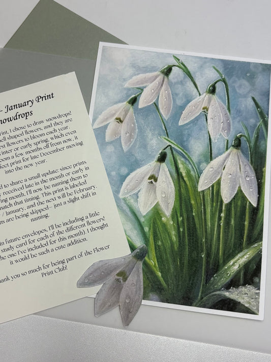 “Snowdrops” December/January - fine art print