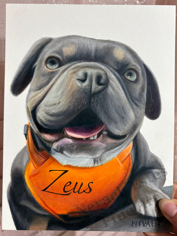 "Zeus"