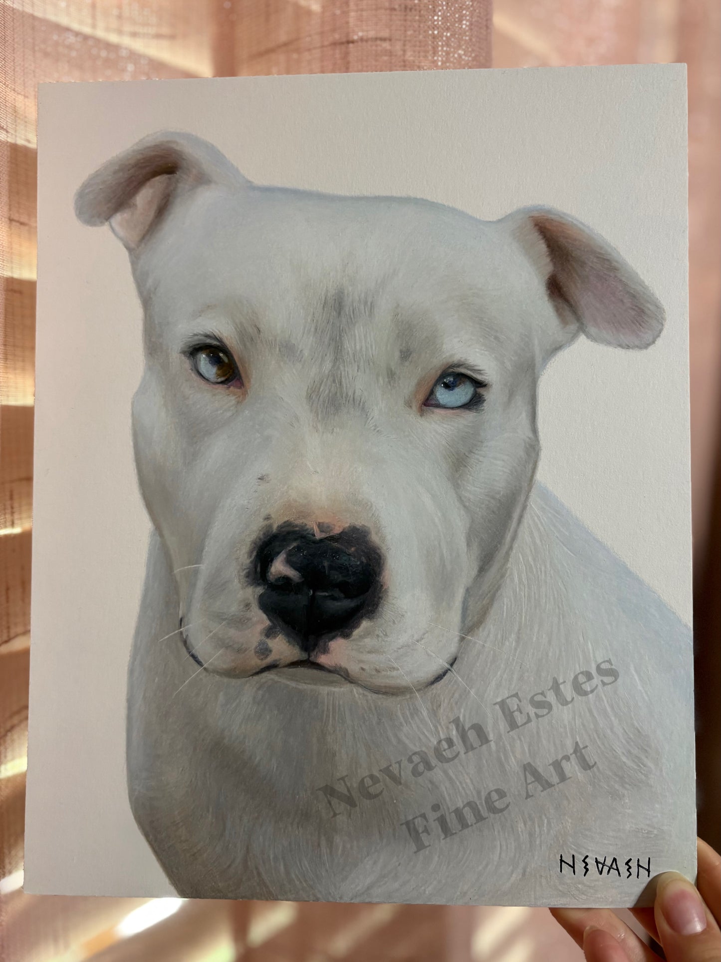 January–June Custom Drawing Waitlist (Limited Spots!)