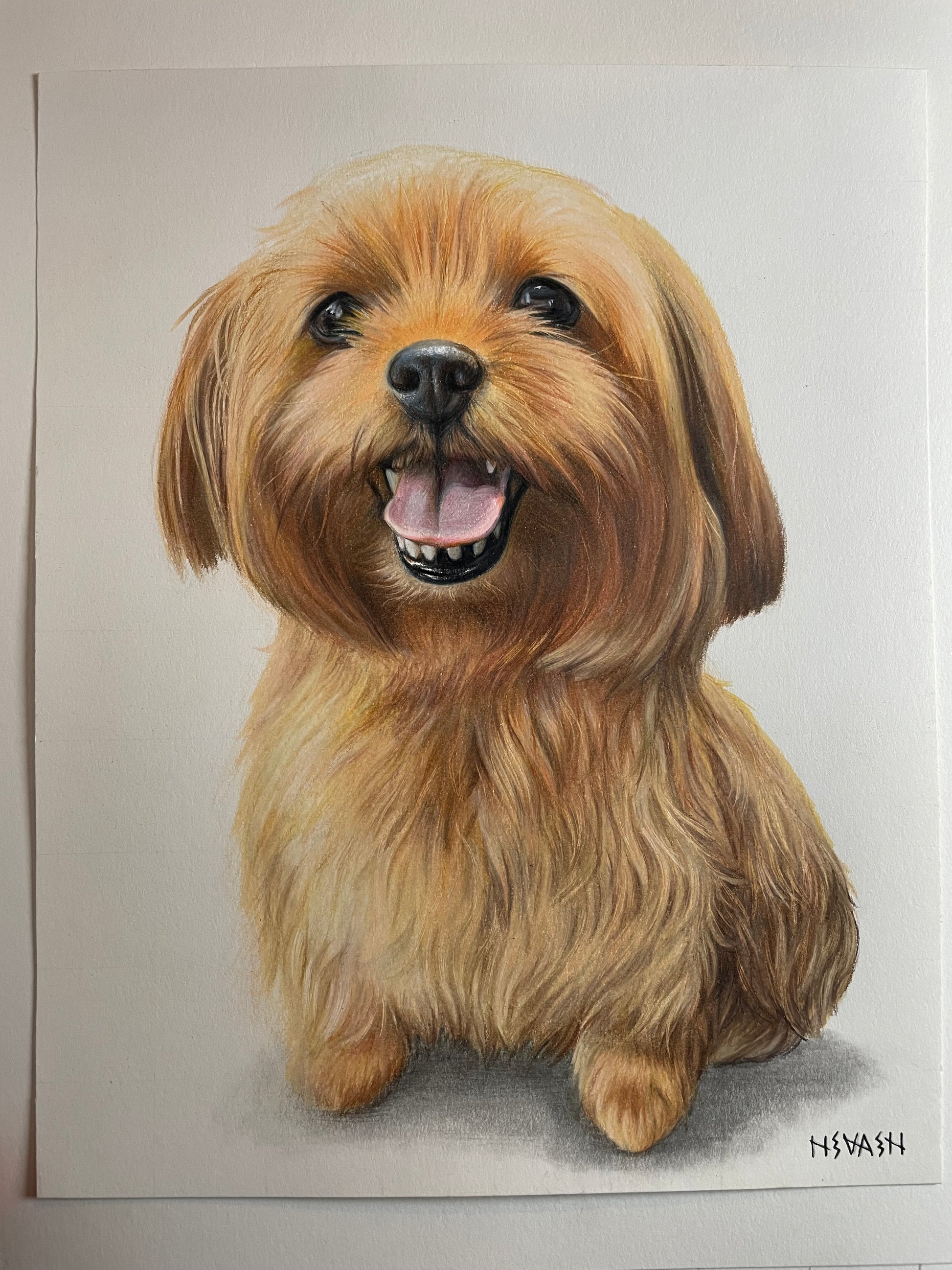 Final 50% Deposit — 11x14 inch Drawing