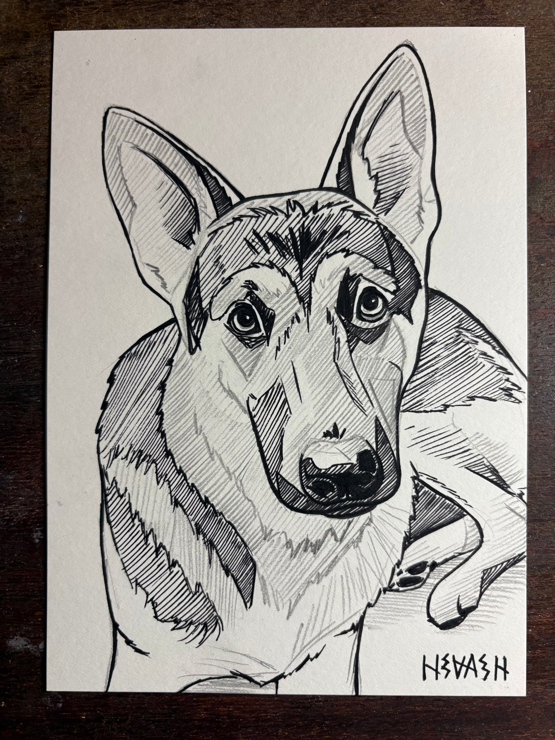 Custom Line Art Pet Drawing 5x7”