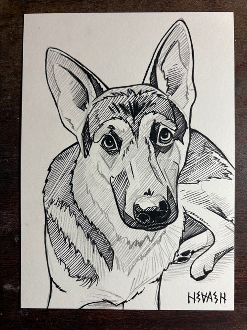 Custom Line Art Pet Drawing 5x7”