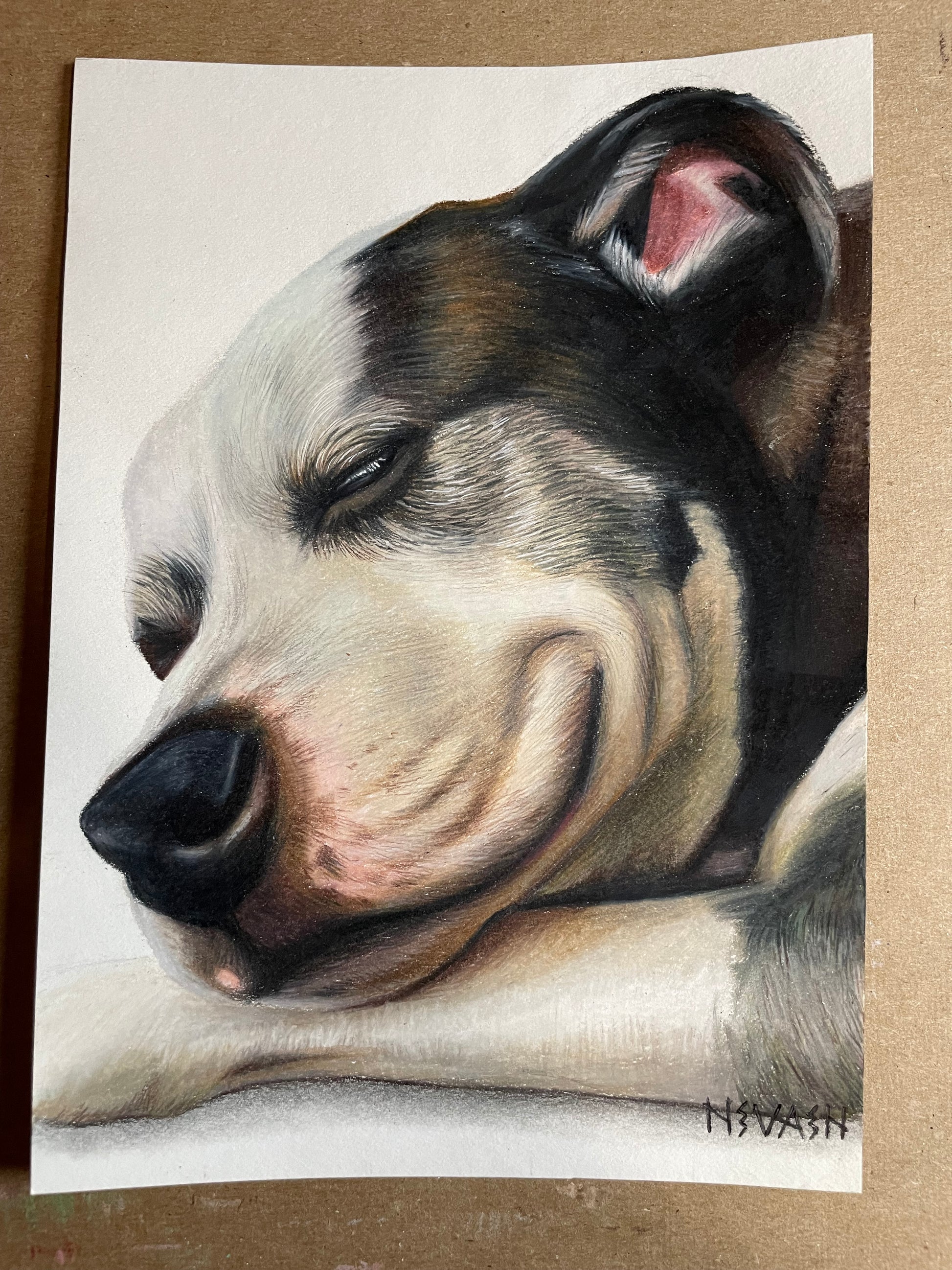 Custom Colored Pencil Portrait – People/Pets | November Holiday Waitlist