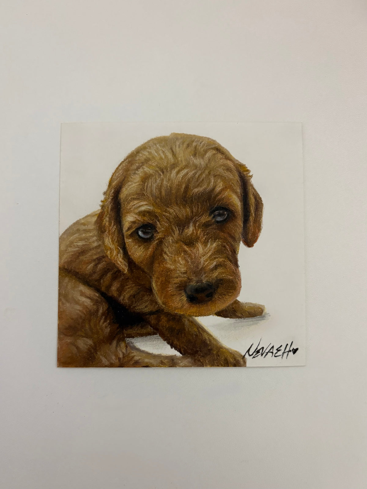 Custom Mini Pet Portrait - 4x4inch Colored Pencil Drawing