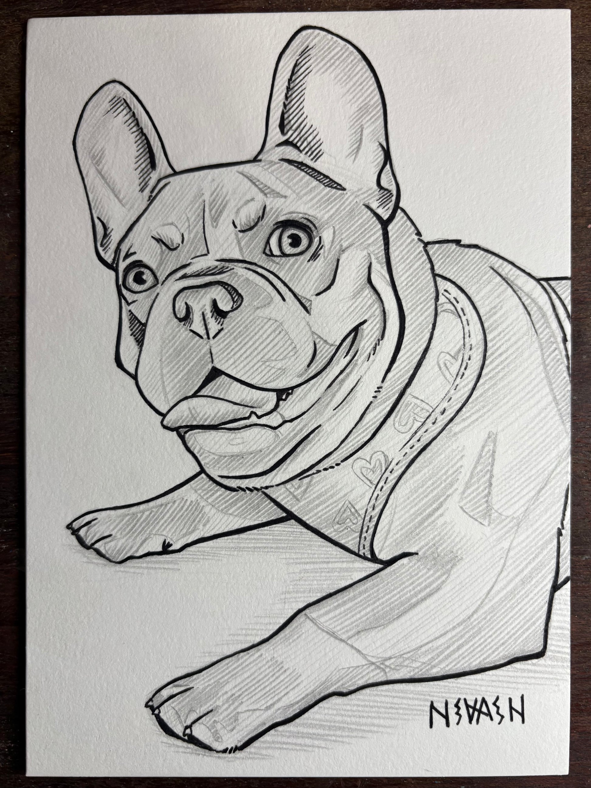Custom Line Art Pet Drawing 5x7”
