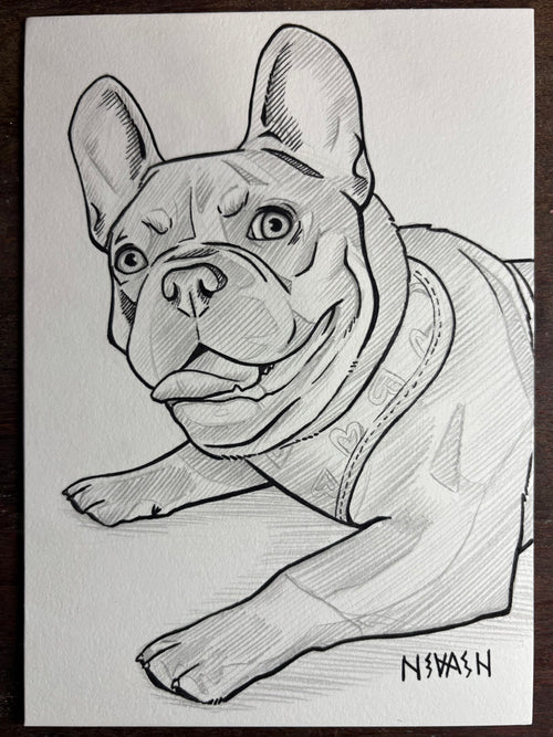 Custom Line Art Pet Drawing 5x7”