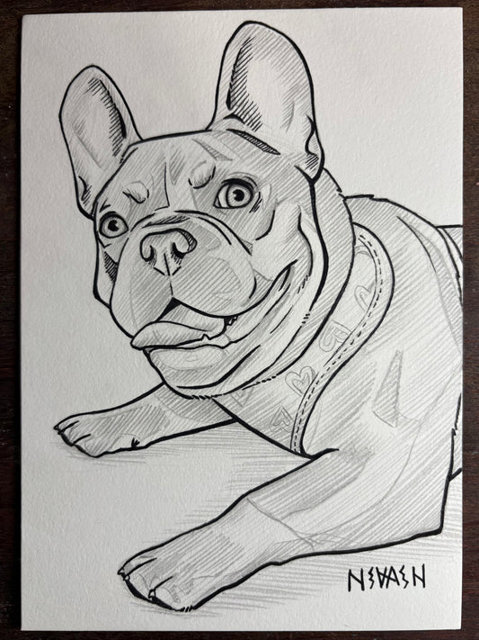 Custom Line Art Pet Drawing 5x7”
