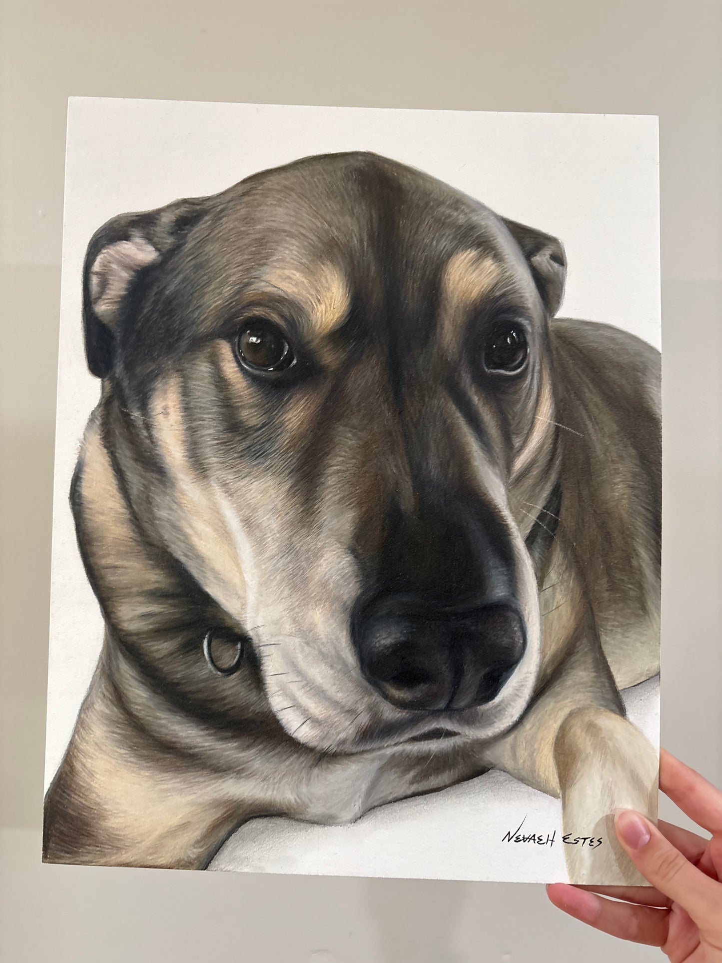 January–June Custom Drawing Waitlist (Limited Spots!)