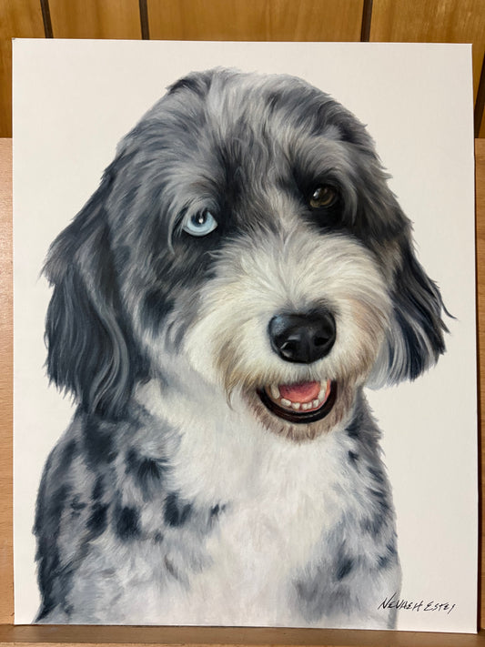 Final 50% Deposit — Custom Drawing
