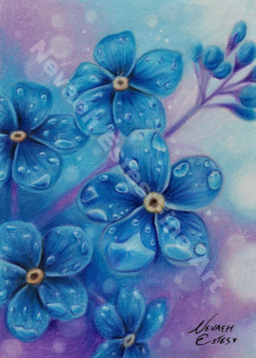 Fine Art Flower Club
