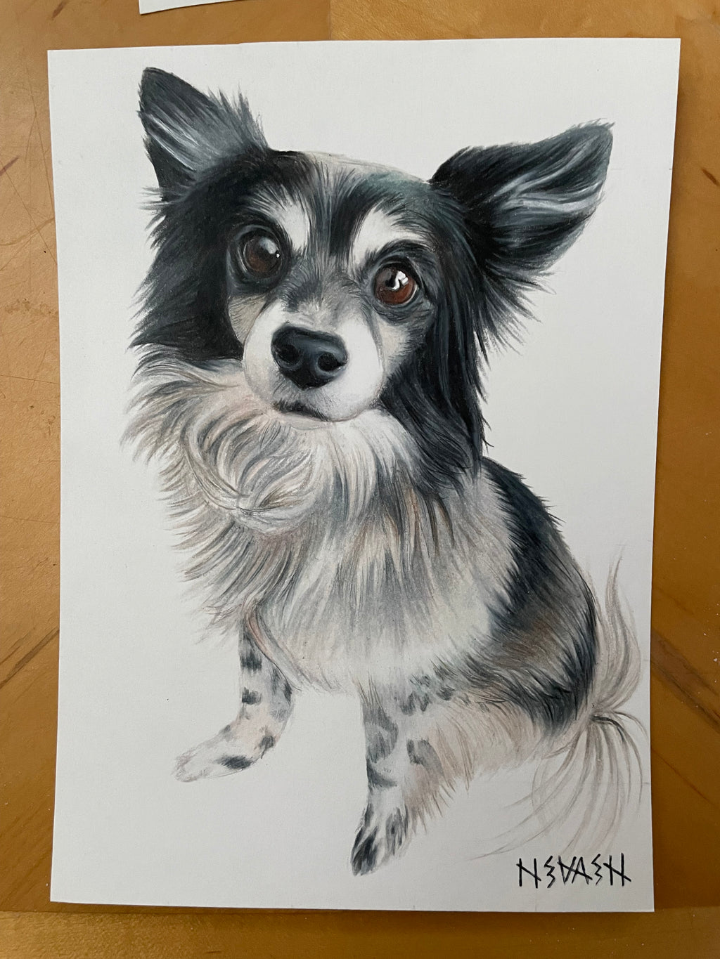 Final 50% Deposit — 11x14 inch Drawing