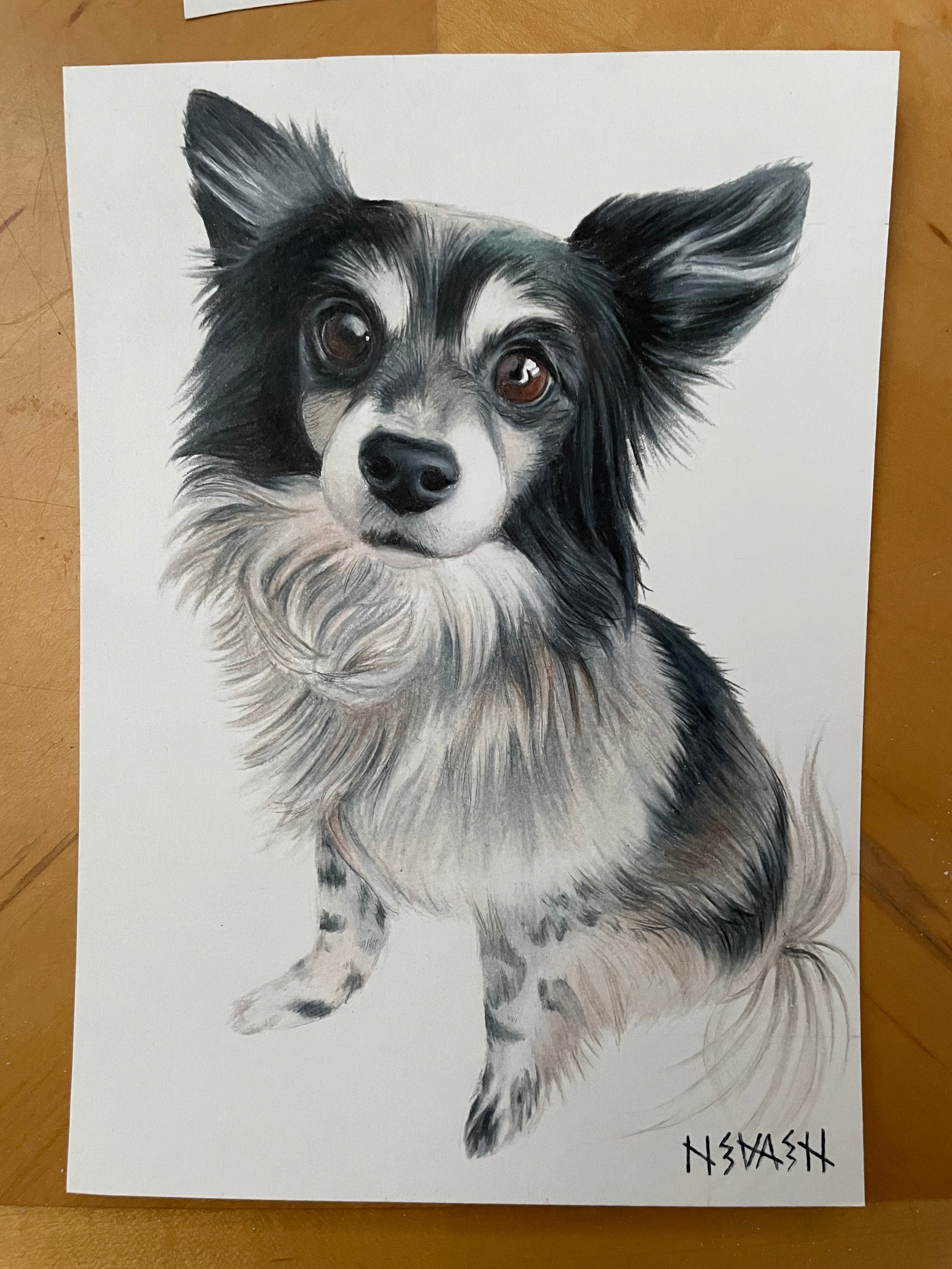 Final 50% Deposit — 11x14 inch Drawing