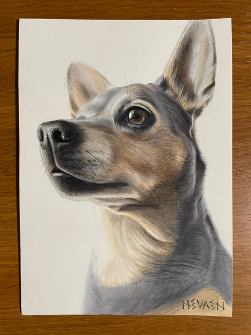 Final 50% Deposit — 6x8 inch Drawing