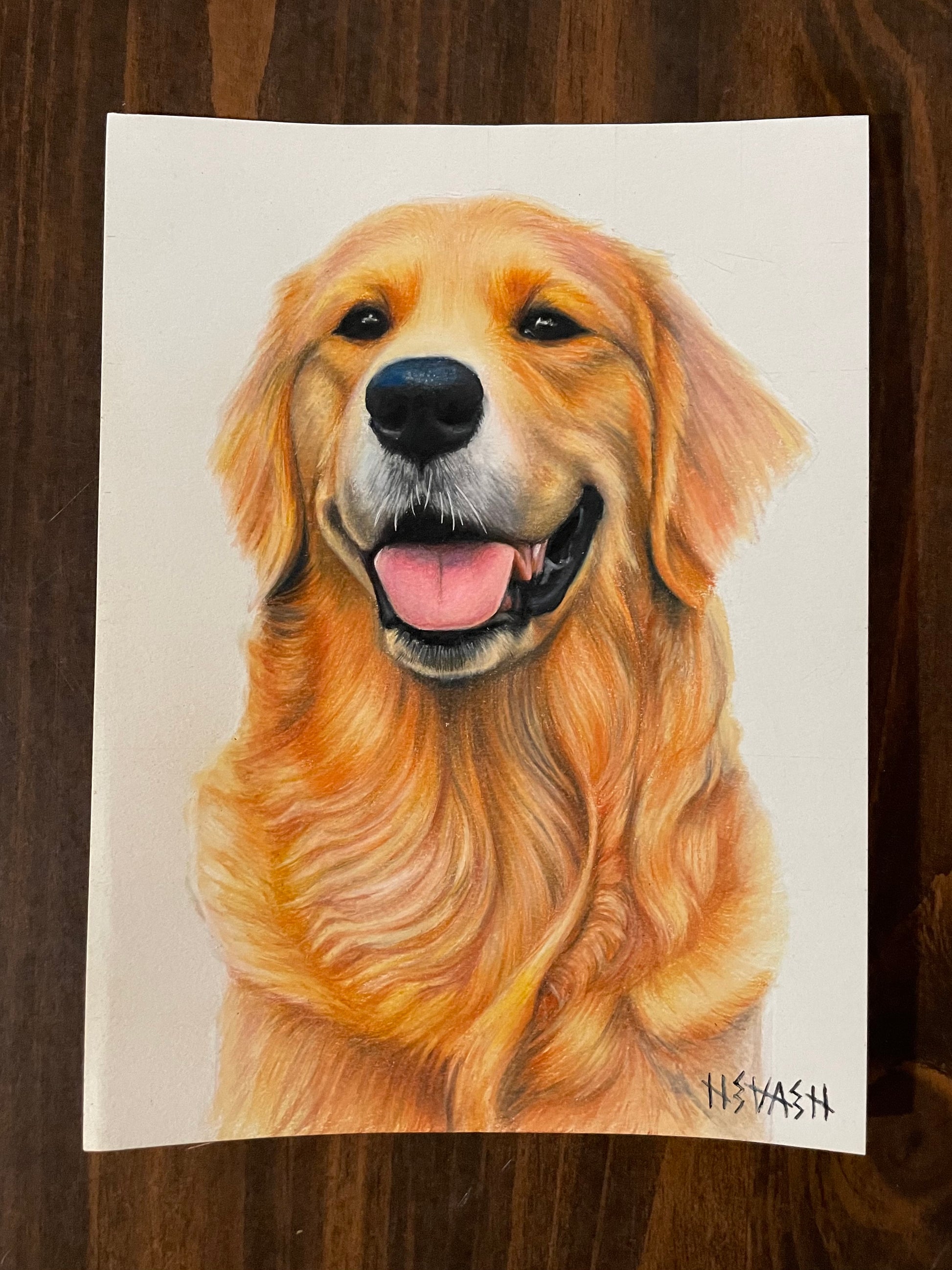 Final 50% Deposit — 11x14 inch Drawing