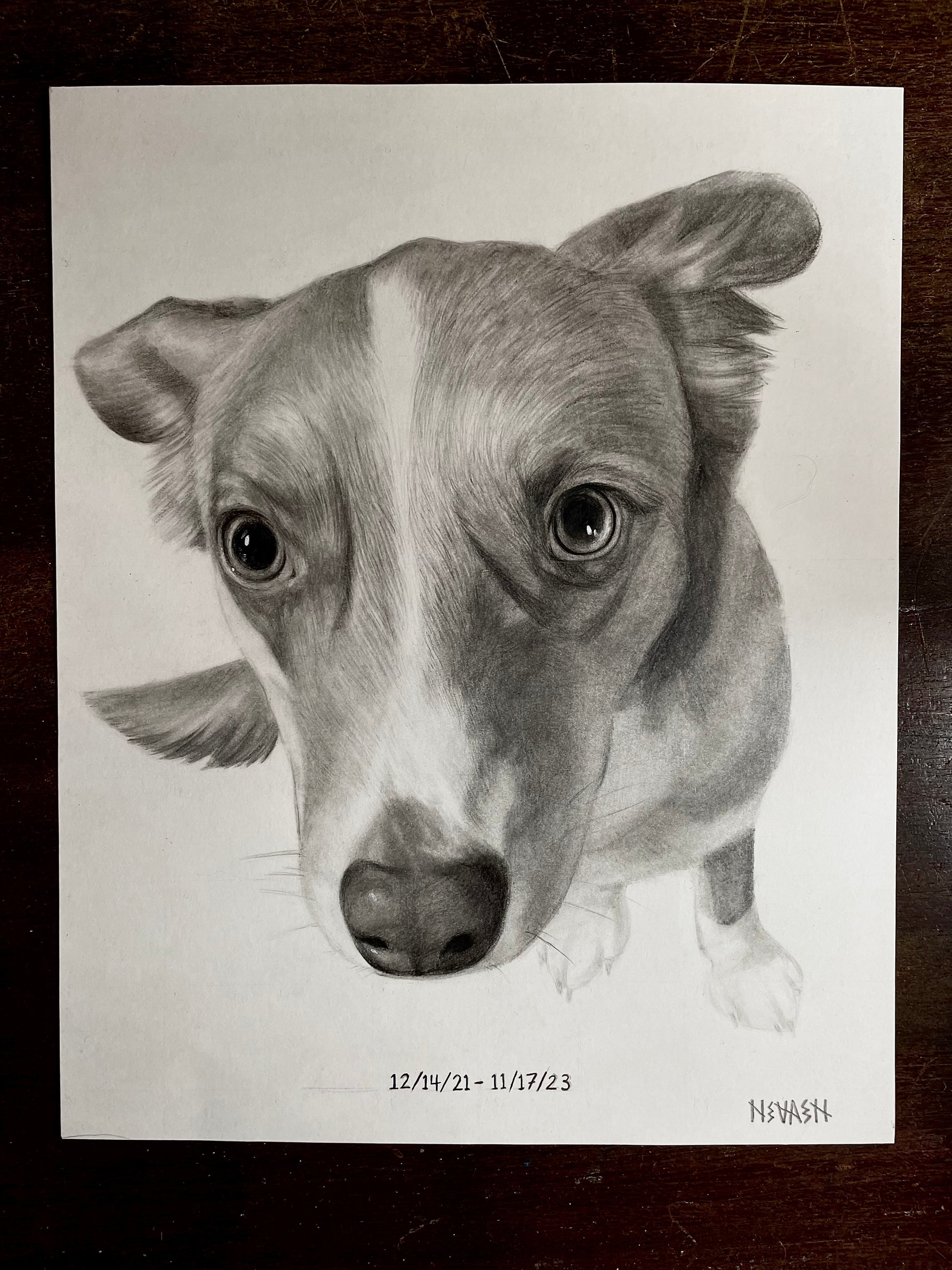 Final 50% Deposit — 11x14 inch Drawing